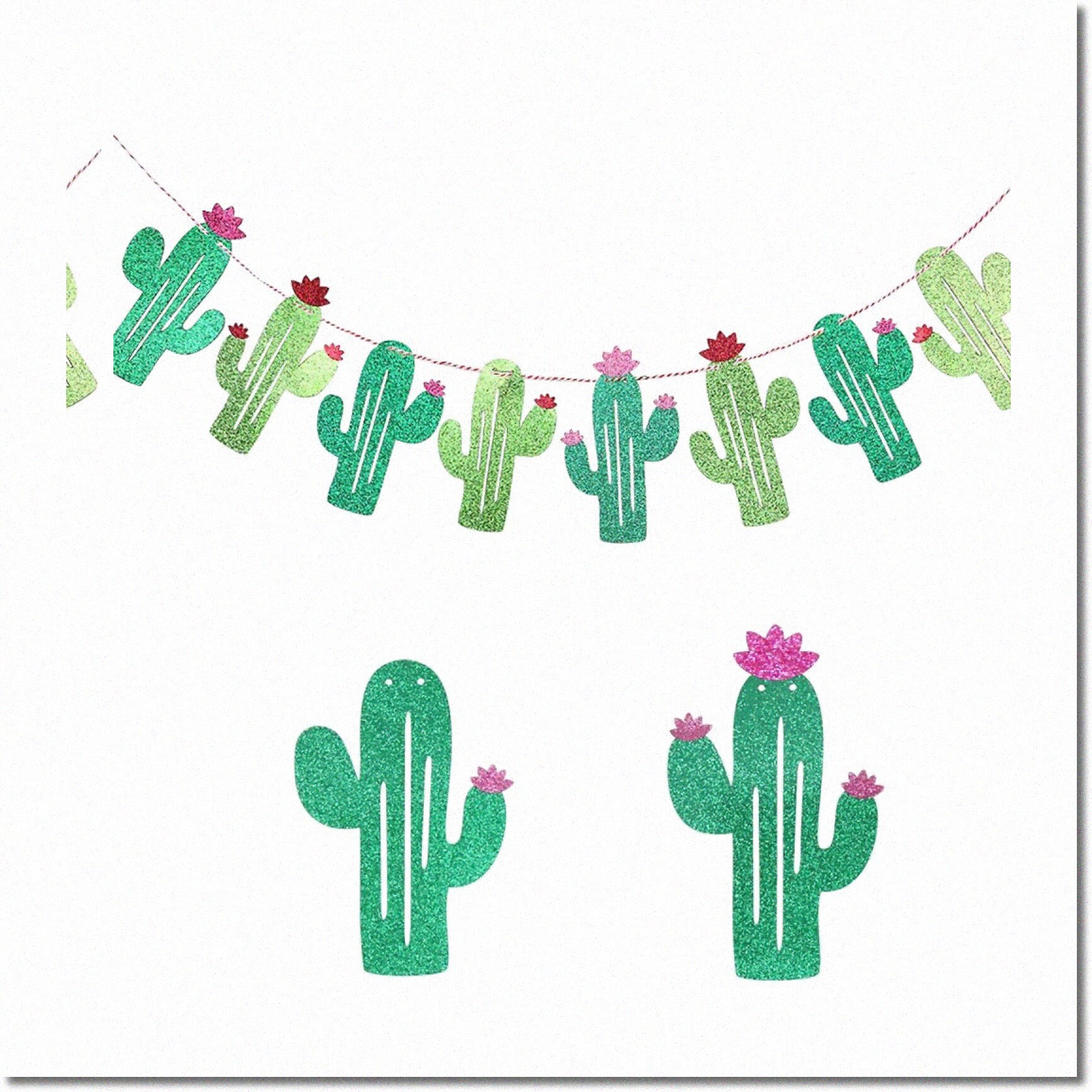 Cactus Fiesta Fun 9.8ft Party Garland for Bachelorette, Graduation