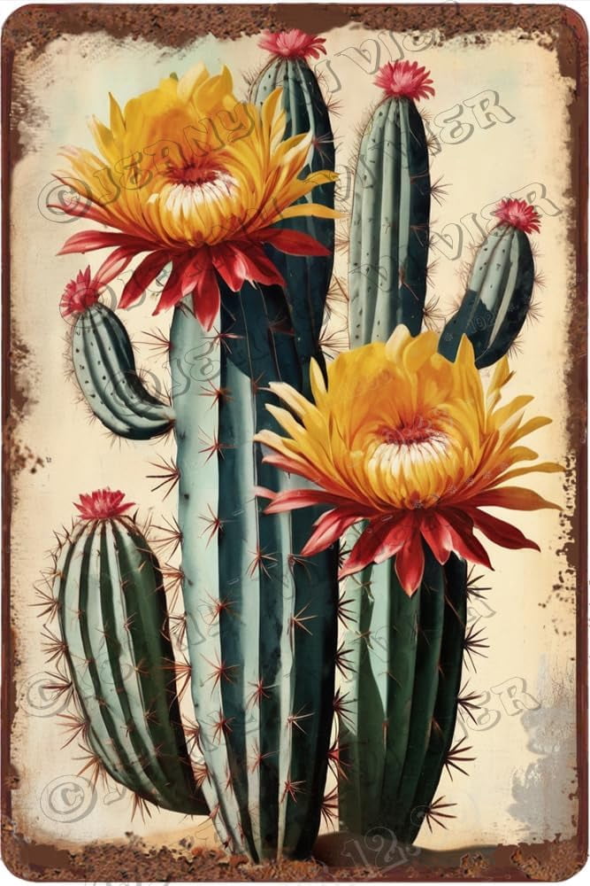 Rustic Cactus Sign Cactus with Flower Retro Aluminum Sign 12x8 in Metal Sign Cactus ...