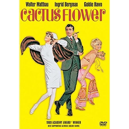 Cactus Flower