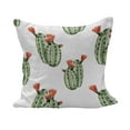 thumbnail image 1 of Cactus Fluffy Throw Pillow Cushion Cover, Cacti Spikes and Red Flowers Mexican Hot Desert Vintage Image Art, Decorative Square Accent Pillow Case, 18" x 18", Green and Orange, by Ambesonne, 1 of 5