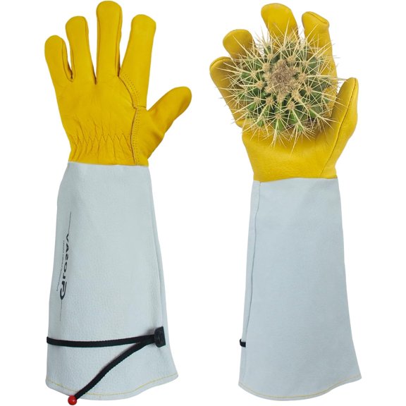 Cactus Garden Gloves (Real Thorn proof), Puncture Proof, Women & Men, Long Leather, Heavy Duty- Great for Gardening, Rose Pruning, Cacti Trimming, Weeding, Pull Thistle, Plant (Medium)