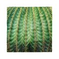 thumbnail image 1 of Cactus Head Scarf, Desert Flower Zoom Photo, Head Wrap, 3 Sizes, by Ambesonne, 1 of 2
