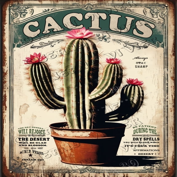 Cactus Isaiah Bible Verse Inspirational Scripture Decor Aluminum Sign 12"x12",Square Vintage Metal Sign Cactus Wall Decor Inspirational Wall Art Cactus Sign