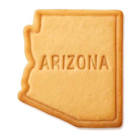 Cactus-Laden Arizona Cookie Cutter & Stamp, Fondant & Clay - 4x4