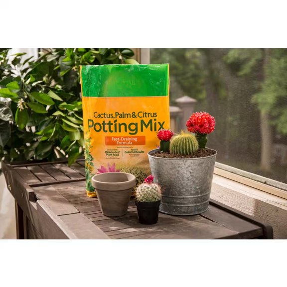 Cactus, Palm and Citrus Potting Mix 8 qt. Great for Succulents, For Indoor or Outdoor Container Plants (2-Pack)