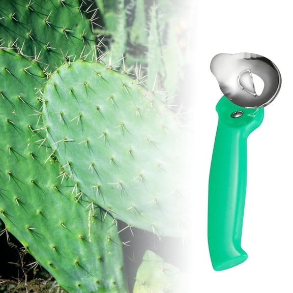 Cactus Peeler Spoon Cactus Peeler Multifunctional Long Handled Cactus Peeler Suitable For Kitchen Cooking Ceramic Peelers for Kitchen Japanese Gadgets for The Two Finger Fruit Peeler Fruit And