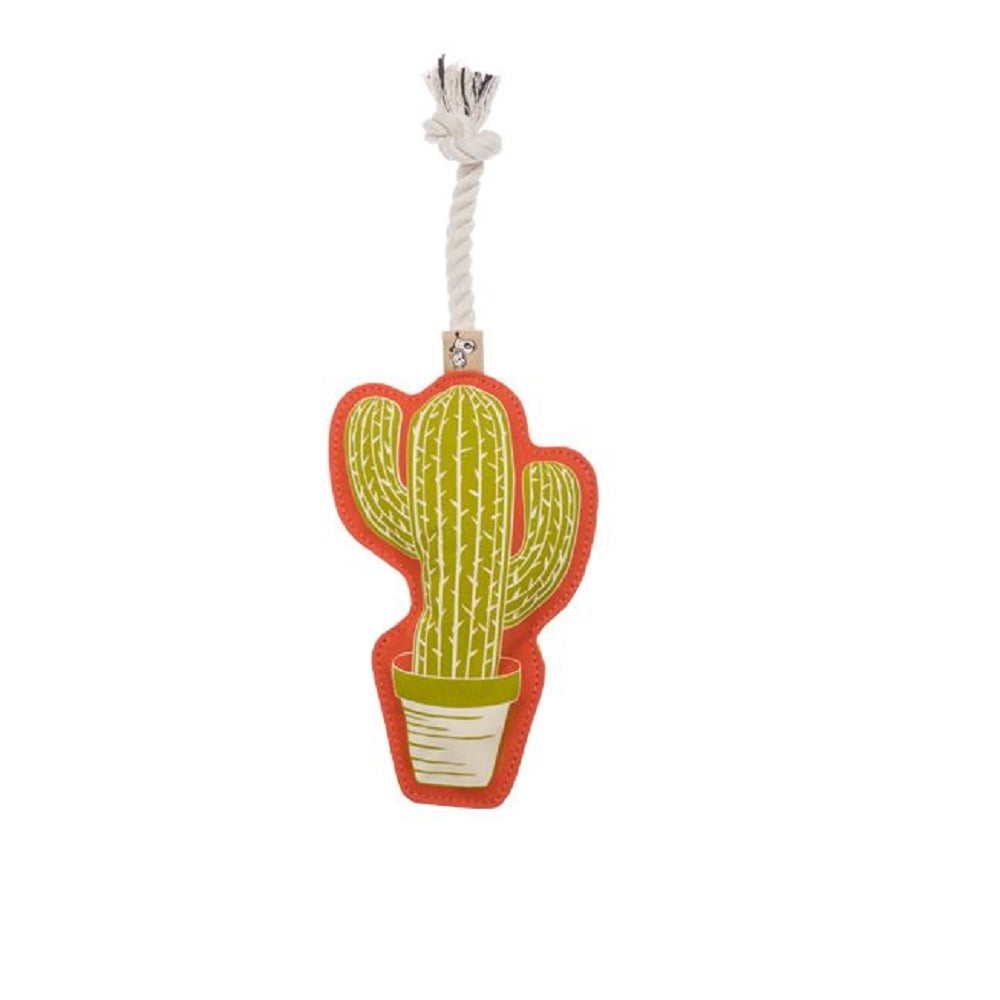 Cactus Pet Rope Toy Dog  Puppy New