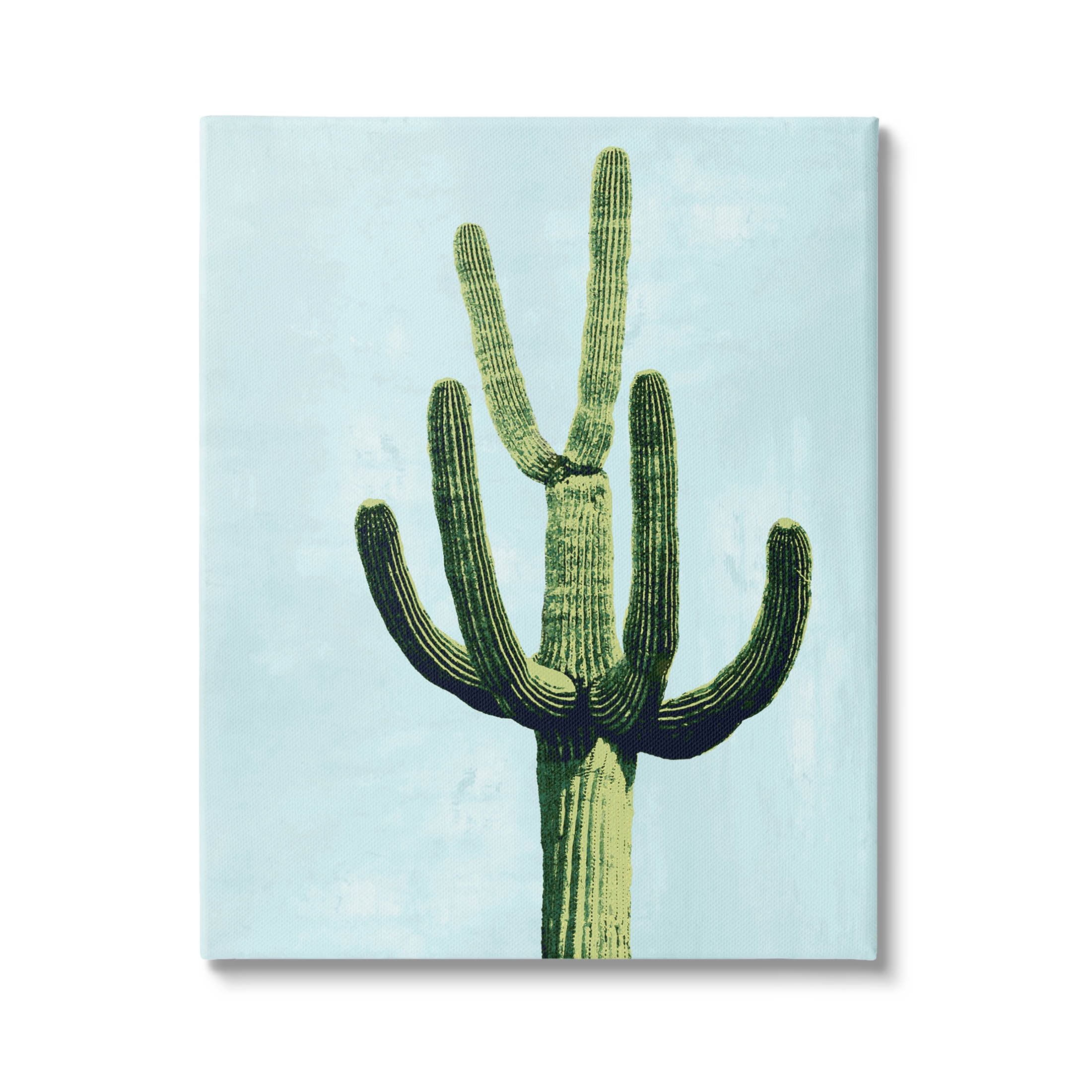 Cactus Plant Arid Vegetation Botanical & Floral Graphic Art Gallery Wrapped Canvas Print Wall Art