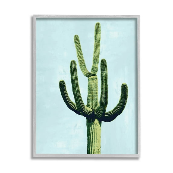 Cactus Plant Arid Vegetation Botanical & Floral Graphic Art Gray Framed Art Print Wall Art