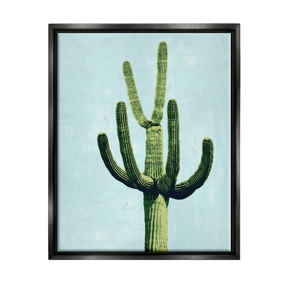 Cactus Plant Arid Vegetation Botanical & Floral Graphic Art Jet Black Framed Art Print Wall Art
