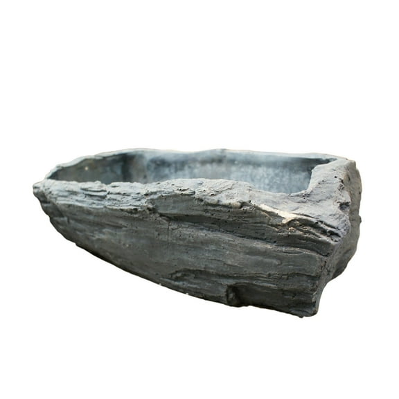 Cactus Plant Bonsai Tree Pot and Planter Stone Finishing