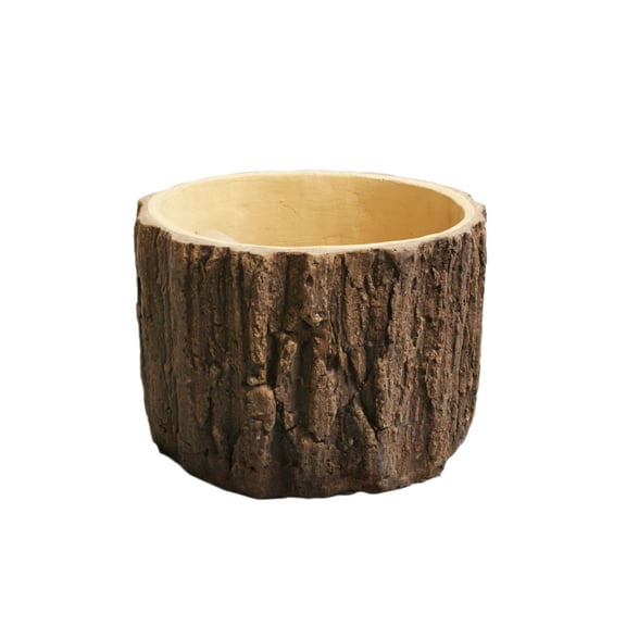 Cactus Plant Bonsai Tree Pot and Planter Tree Finishing Walnut