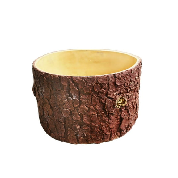 Cactus Plant Bonsai Tree Pot and Planter Tree Finishing Yezospruce