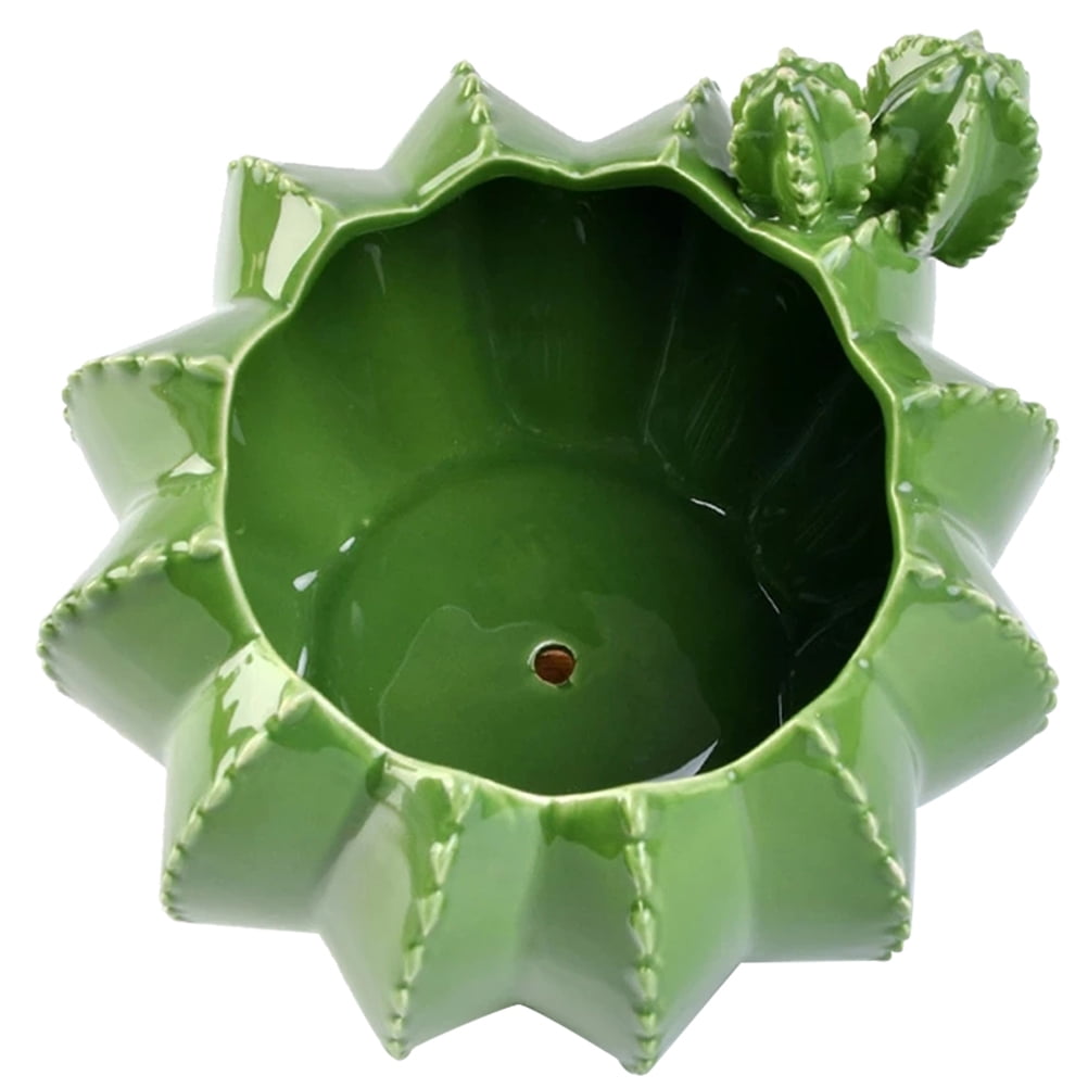 Cactus Pot Novelty Succulent Planter Mini Small Pots for Indoor Plants Ceramic Bonsai