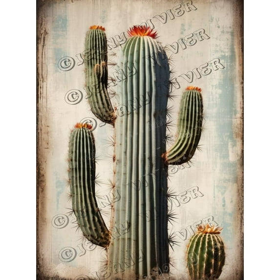 Cactus Retro Aluminum Sign 5.5x8 IN Metal Sign Southwestern Botanical Cacti Plant Bathroom Wall Art Garden Tin Signs for Cafes Club Pub Man Cave Wall Sign Gifts