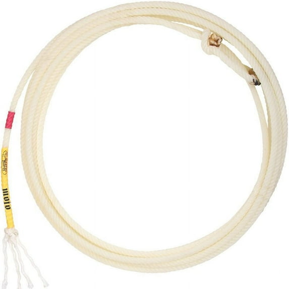 Cactus Ropes Mojo 31 ft Nylon Poly 4 Strand