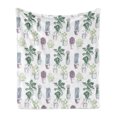thumbnail image 1 of Cactus Soft Flannel Fleece Blanket, Mexican Local Flora Succulents Indigenous Foliage in Flower Pots Domestic Flora Art, Cozy Plush for Indoor and Outdoor Use, 60" x 80", Multicolor, by Ambesonne, 1 of 5