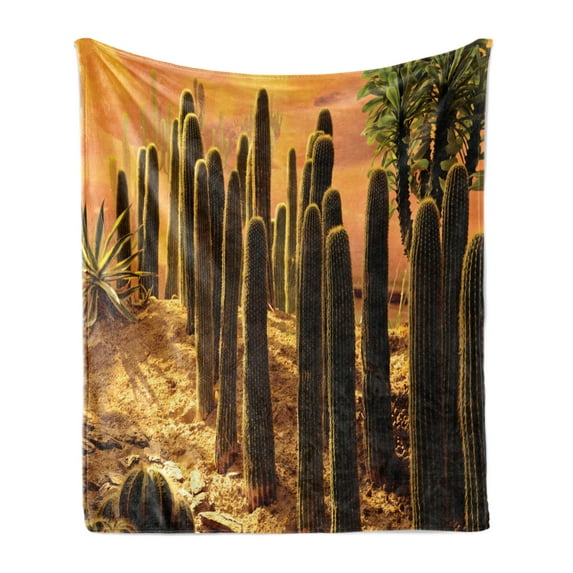 Cactus Soft Flannel Fleece Blanket, Sunset in the Wild Nature Hot Desert Botanic Mexican Trees Leaves Sand Photo Image, Cozy Plush for Indoor and Outdoor Use, 70" x 90", Multicolor, by Ambesonne