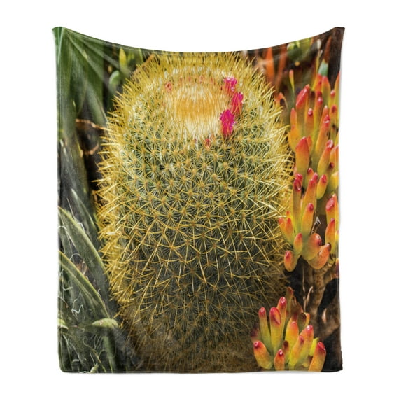 Cactus Soft Flannel Fleece Throw Blanket, Photo of Cactus Plant Flower with Spike Botanical Desert Garden Floral Image, Cozy Plush for Indoor and Outdoor Use, 50" x 60", Green and Pink, by Ambesonne