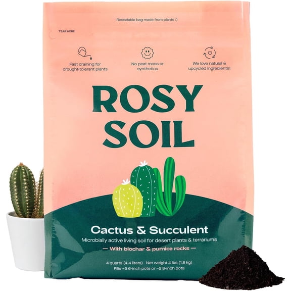 Cactus and Succulent Organic Potting Soil Mix for House Plants - Fast Draining, Root Boosting, Peat-Free, Less Prone to Gnats Drought-Tolerant Growth of Aloe Vera, Cacti Indoor Succulents- 4qt