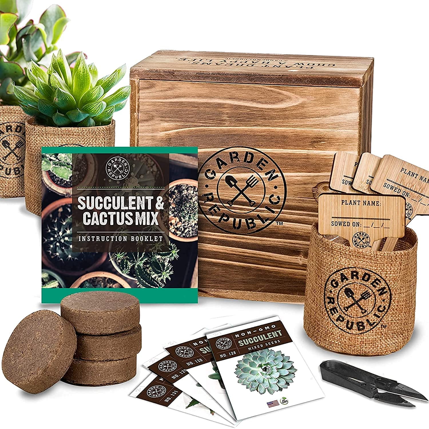 Cactus Succulent Seed Starter Kit - Indoor Garden Grow Kits, Seeds for Planting Mini Cactus Succulent Plants, Plant Markers, Soil, Pots, Wood Box