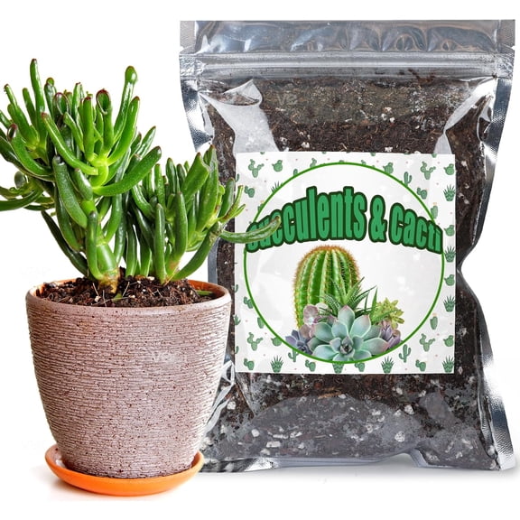 Cactus & Succulent Soil Mix 4qt, Chunky Well-Draining Soil for Indoor Plants - Spike & Bloom
