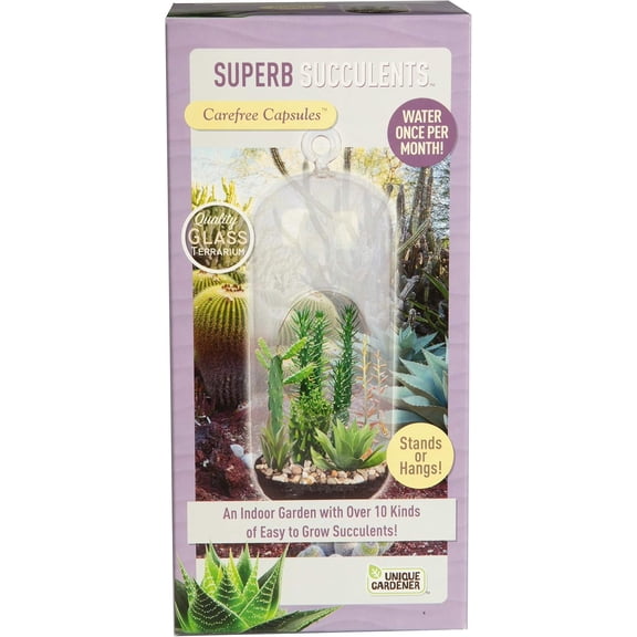 Cactus & Succulent Terrarium Grow Kit by Unique Gardener - DIY Indoor Hanging or Standing Garden Starter Set - Easy to Grow!
