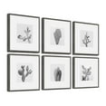 thumbnail image 1 of Cactus Variety Ii He x aptych, Art Prints, 54.00" x 1.50", 1 of 6
