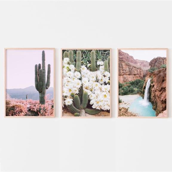 Cactus Waterfall Desert Southwestern Pictures, Poster Only