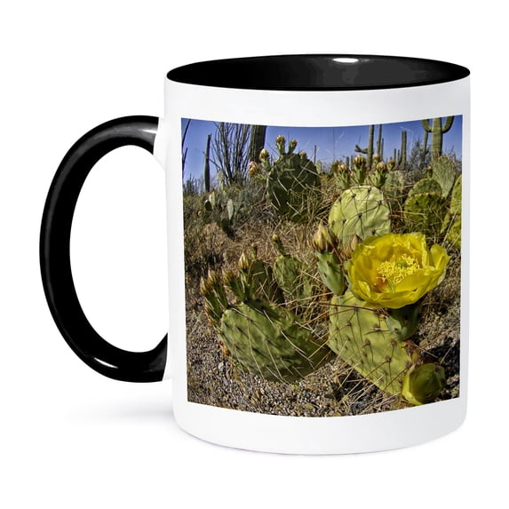 3dRose, Cactus with Yellow flower on East Saguaro National Park in Arizona, 15oz Two-Tone Black Mug
