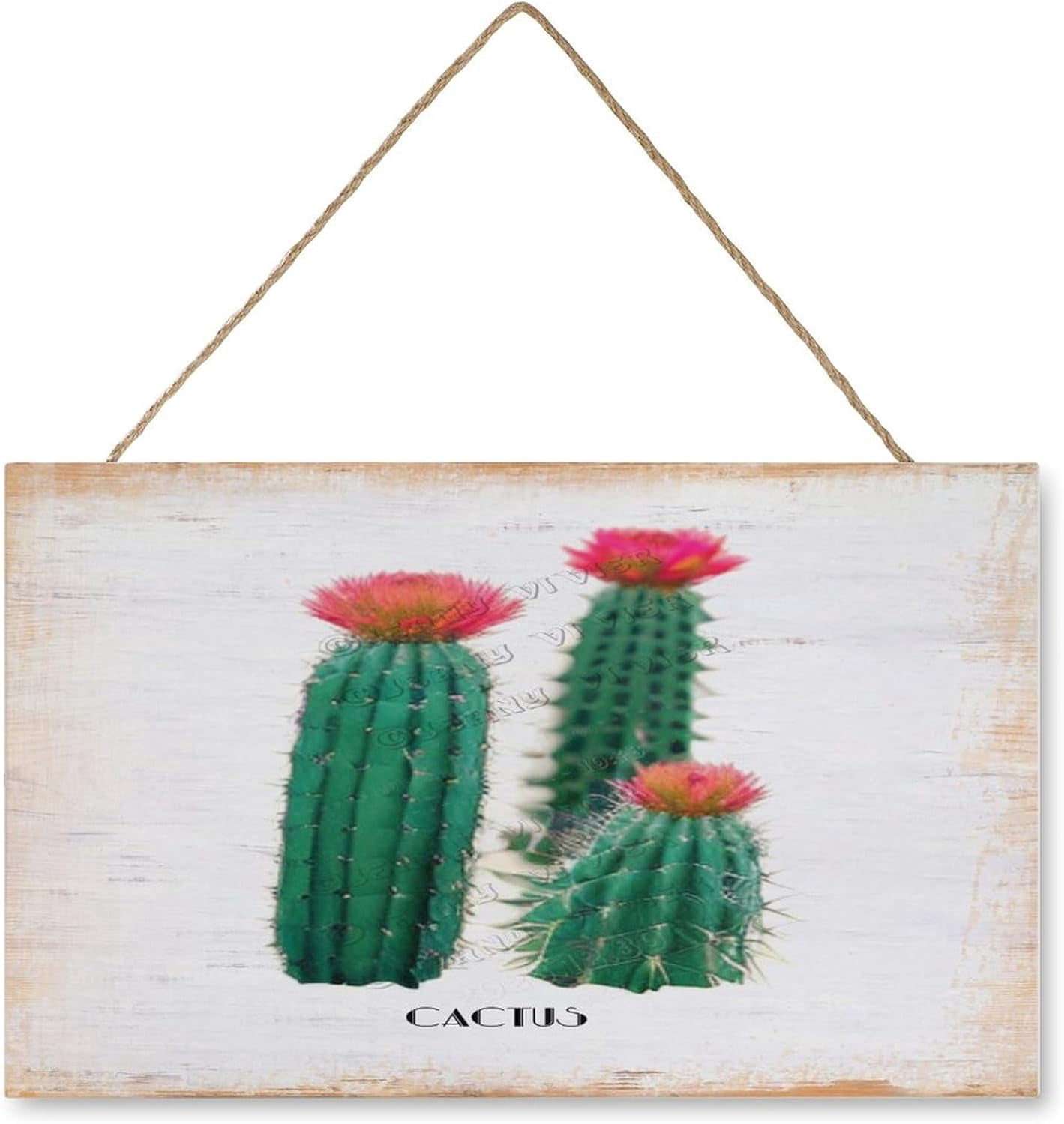 Rustic Cactus Sign Cactus Wooden Hanging Sign Southwest Plant Cacti Decor Rustic Farmhouse ...