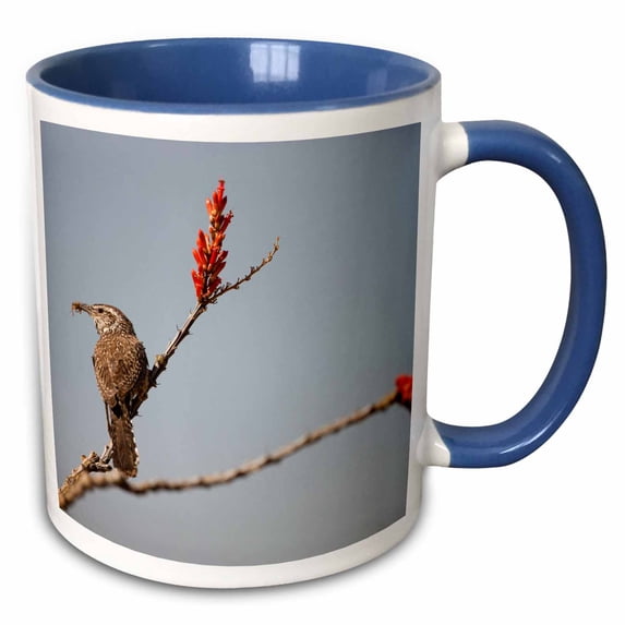 3drose, Cactus Wren Bird, Madera Canyon, Arizona - Us03 Jmc0007 - Joe and Mary Ann Mcdonald, 11oz Two-tone Blue Mug