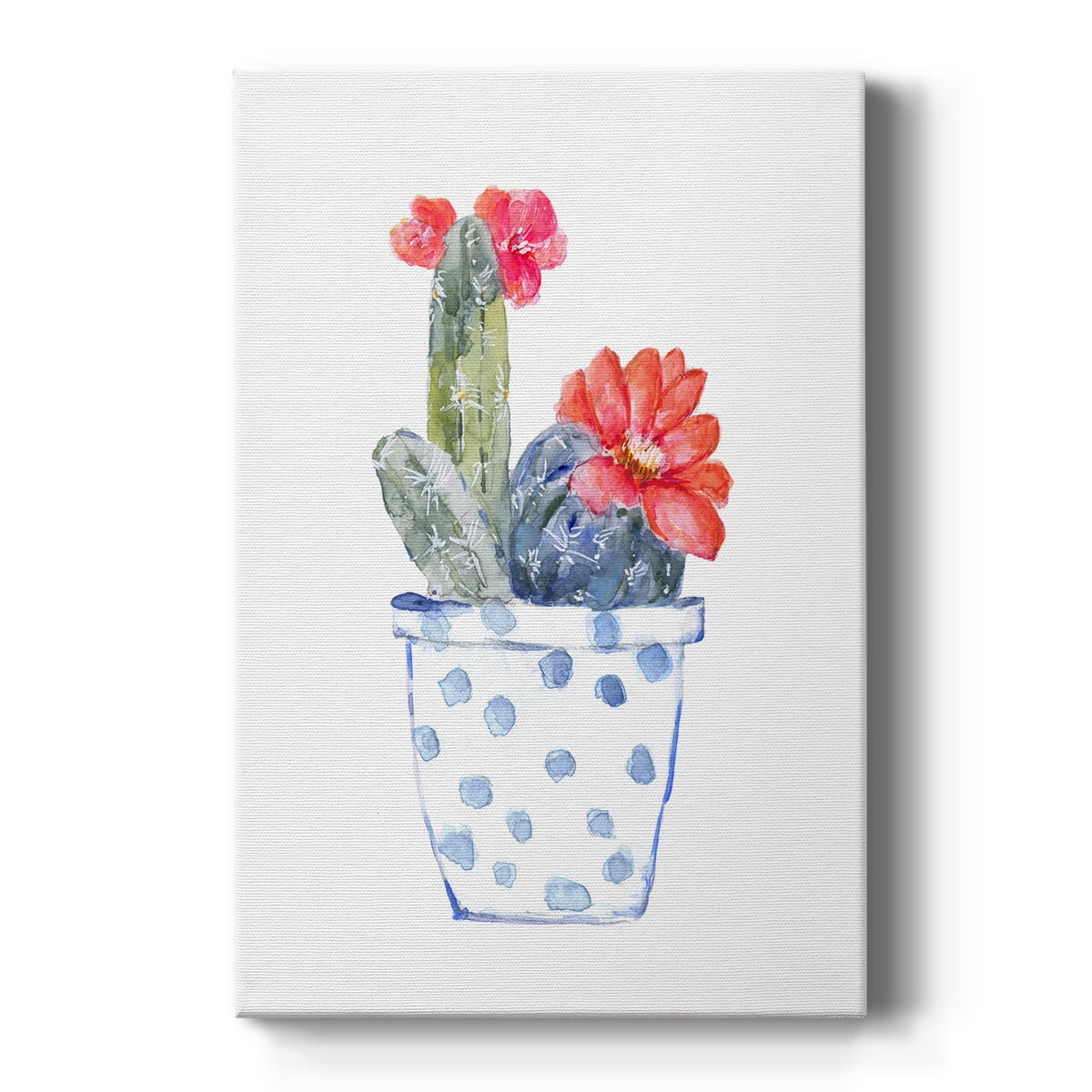 Cactus and Succulent Blooms II Premium Gallery Wrapped Canvas - Ready to Hang