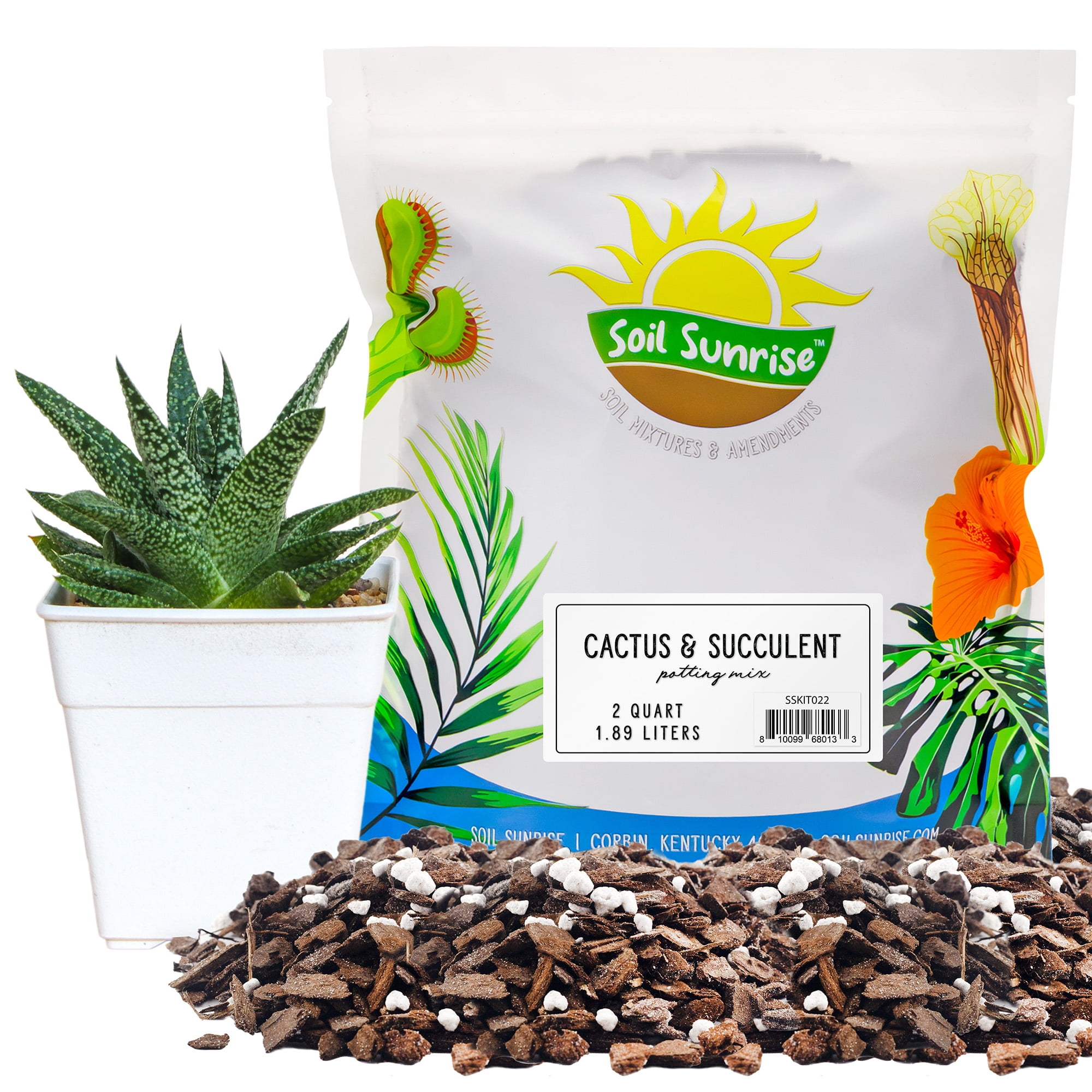 Soil Sunrise Cactus and Succulent Indoor Plant Potting Mix, Special ...
