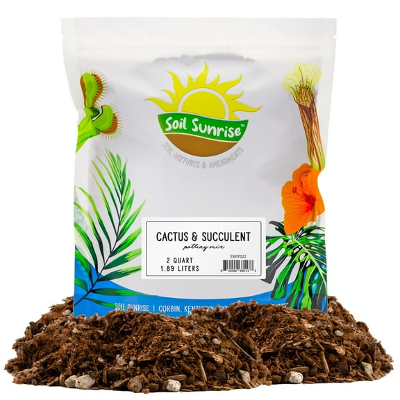 Cactus and Succulent Potting Mix (2 Quarts), Special Blend--Fast Draining and Desert-Style Gritty