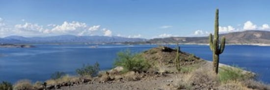 Cactus at the lakeside with a mountain range in the background Lake Pleasant Arizona USA Canvas Art - Panoramic Images (36 x 12)