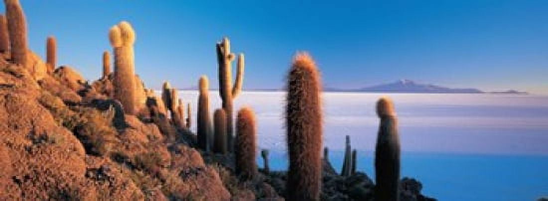 Cactus on a hill Salar De Uyuni Potosi Bolivia Canvas Art - Panoramic Images (18 x 7)