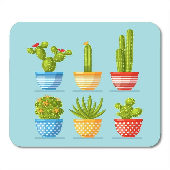 Cactus with Flower in Pots Blue of Cacti and Aloe Potted Plants with Prickles for Interior Cartoon Mousepad Mouse Pad Mouse Mat 9x10 inch