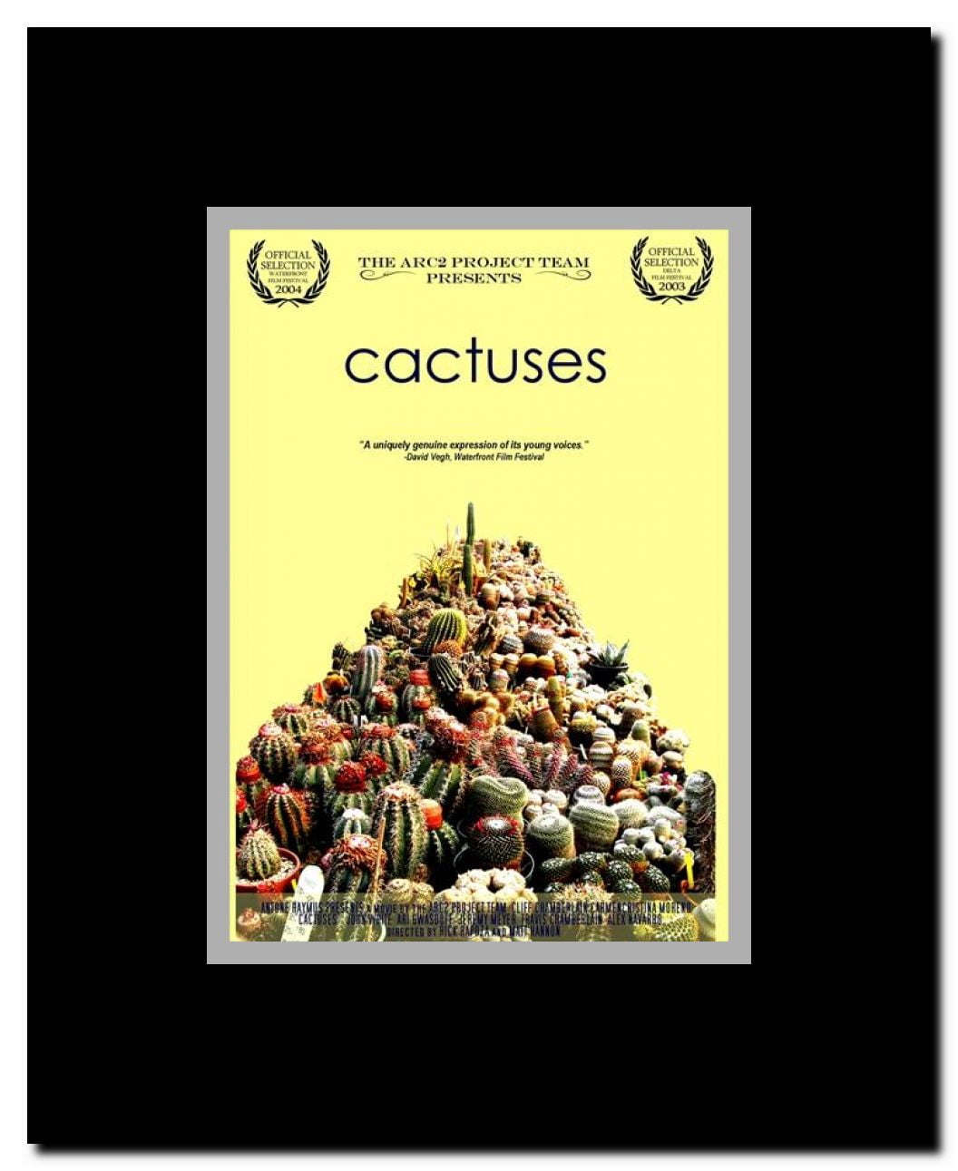 Cactuses Framed Movie Poster