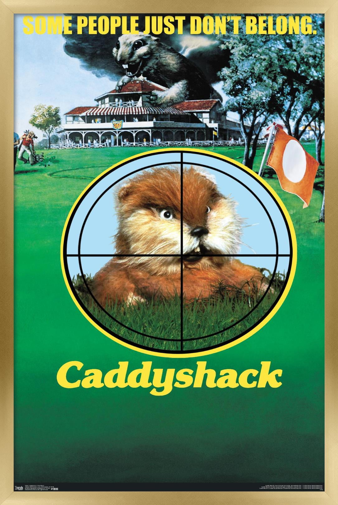Caddyshack - One Sheet Wall Poster, 14.725" x 22.375", Framed
