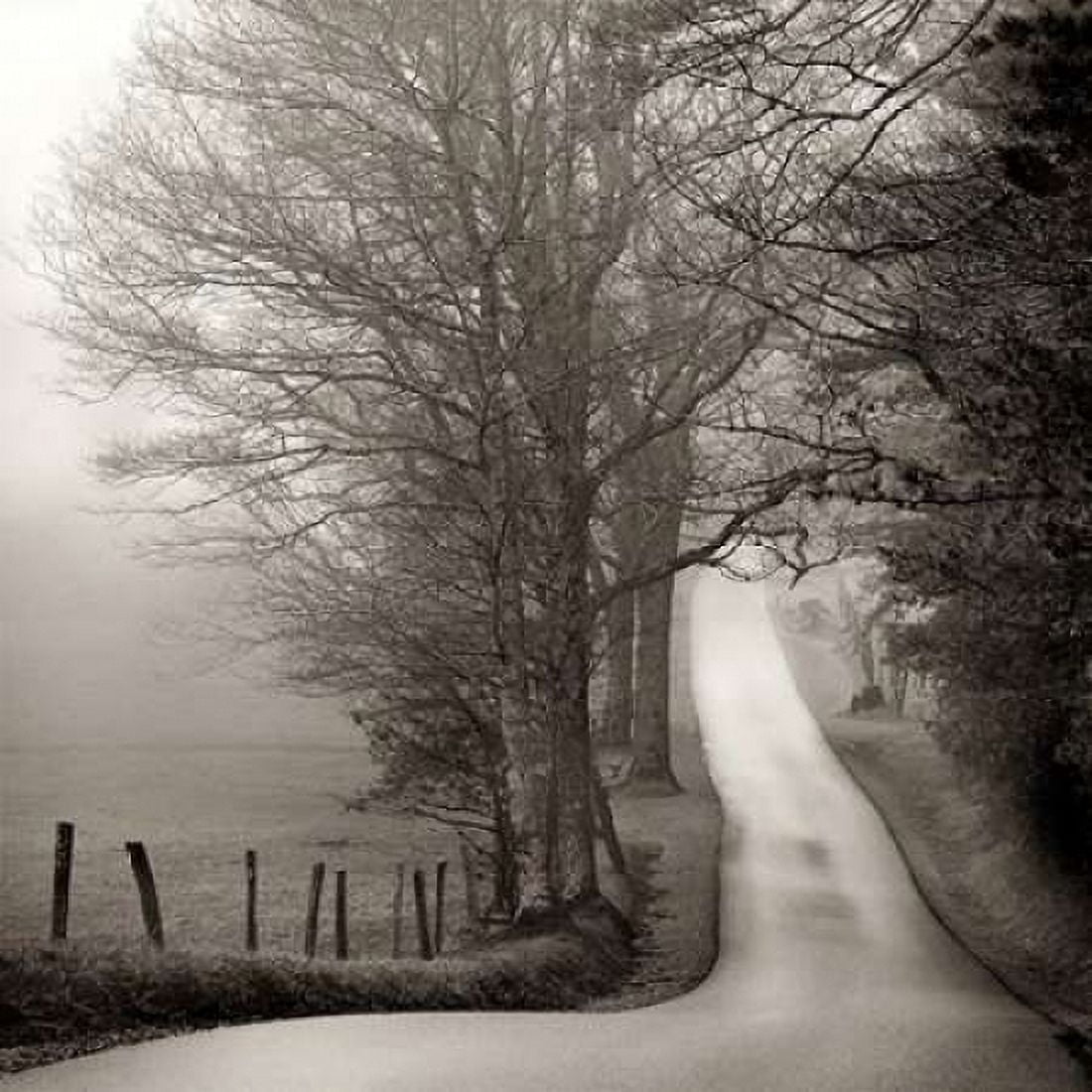 Cades Cove Canvas Art - Nicholas Bell (24 x 24)