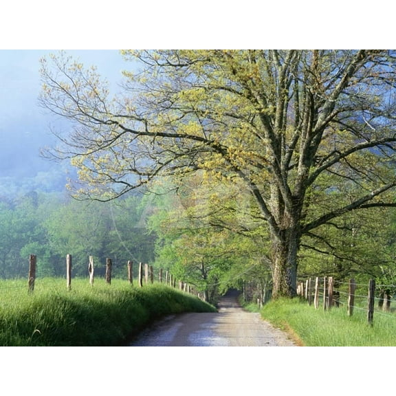 Cades Cove Lane in Great Smoky Mountains National Park, Scenic Seasons Unframed Photographic Print Wall Art by Darrell Gulin Sold by Art.Com