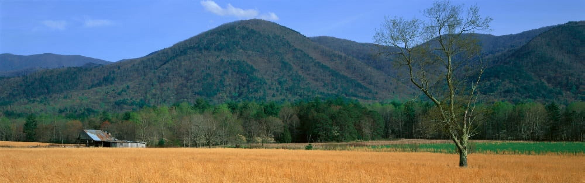 Cades Cove Pioneer Settlement Great Smokey National Park Tennessee Canvas Art - Panoramic Images (27 x 9)