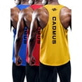 Cadmus Men's 3 Pack Muscle Sleeveless Shirts dry Fit Gym Workout Tank