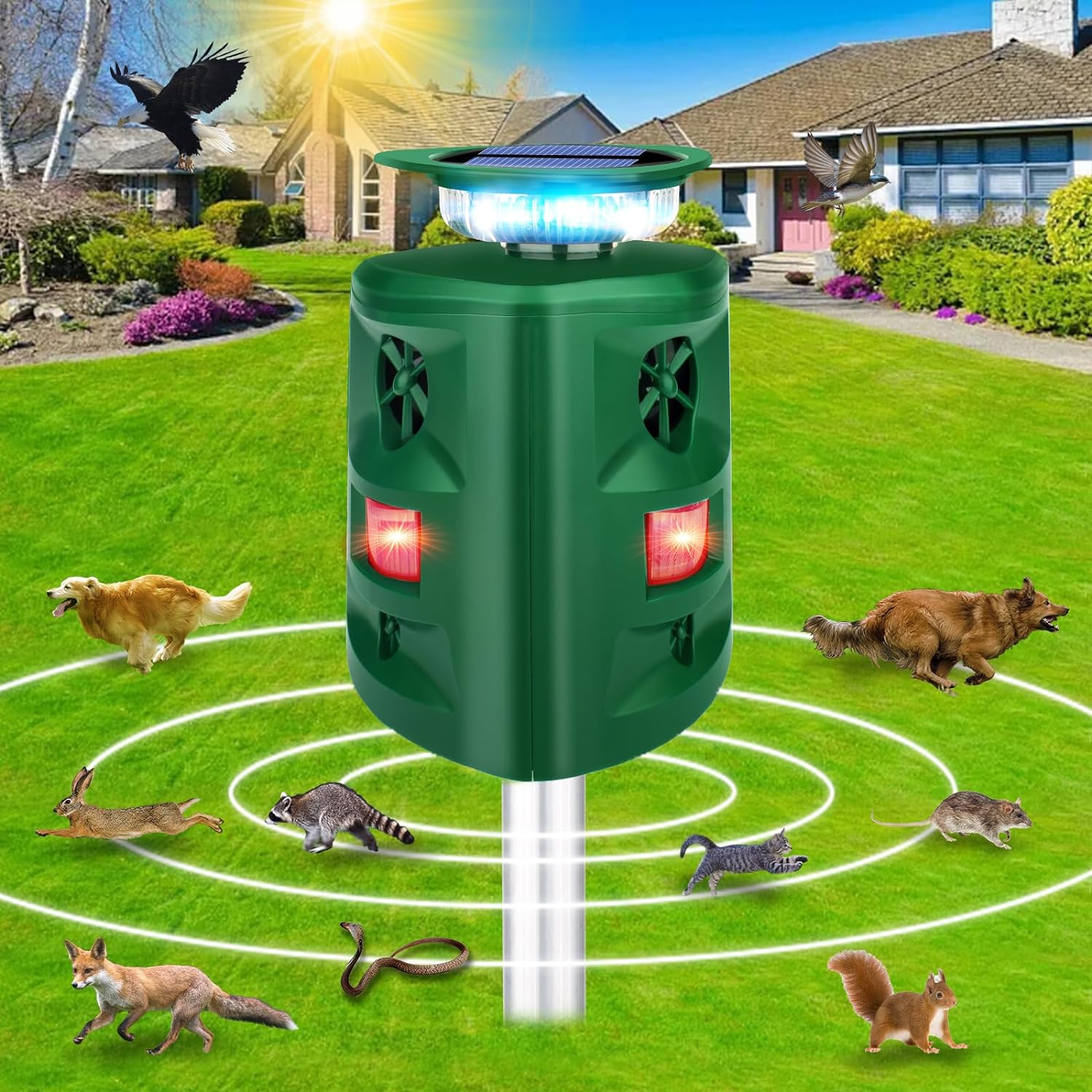 Cadorabo 360°Ultrasonic Animal Repeller, Solar Animal Repeller, Cat