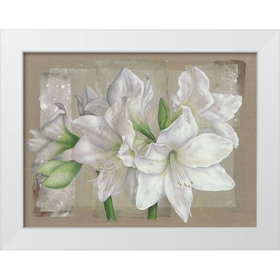 Cadoret, Virginie 14x12 White Modern Wood Framed Museum Art Print Titled - Amaryllis Blanc