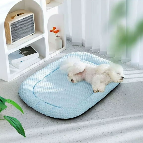 Cadorn 1 PCS Pet Pad, 20x16 Inch Waterproof Reusable Training Mat for Dogs and Cats, All-Season Indoor Outdoor Use with Non-Slip Backing, Suggested for Pets Under 4 lbs, Blue