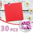 thumbnail image 1 of Cadorn 30 Pieces Ladybug Push Pins, Cute Decorative Thumb Tacks for Bulletin Board, Corkboard, Photo Wall, Home Office Organization, 1 of 5