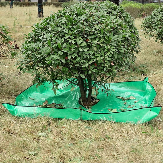 Cadorn Garden Tree & Shrub Trimming Tarp, Waterproof Tarpaulin for Leaf & Debris Collection, Reusable Yard Cleanup Mat