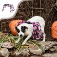 thumbnail image 1 of Cadorn Halloween Pet Tarantula Costume for Dogs - Spider-Themed Dog Transformation Outfit, Comfortable & Easy to Wear Halloween Dog Costume with Elastic Straps (Black/Pink/Green/Orange/Purple/Blue), 1 of 6